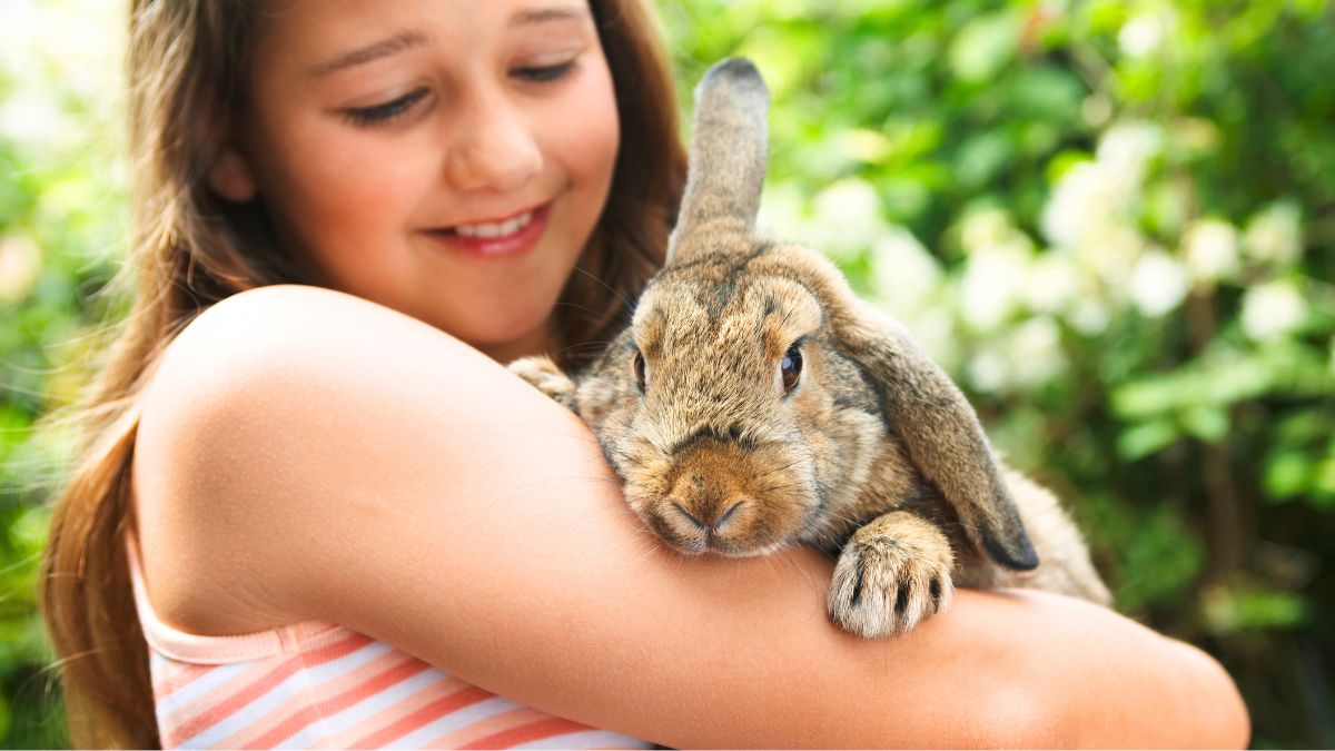 Top 5 Rabbit Breeds for Families with Children